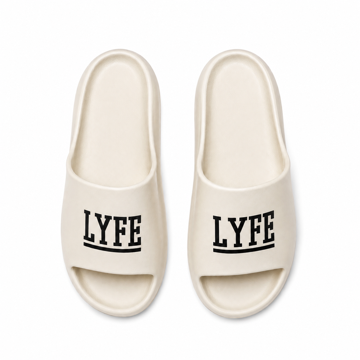 LYFE SHIBSHIB C
