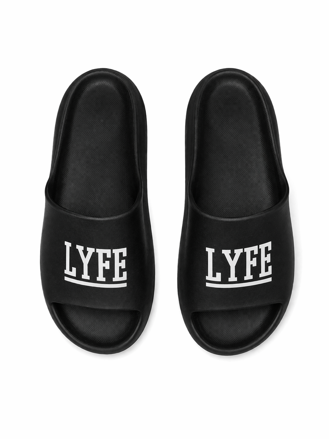 LYFE SHIBSHIB B